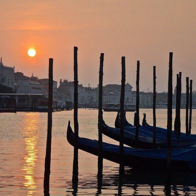 Biennale Ca Dario * Venezia
